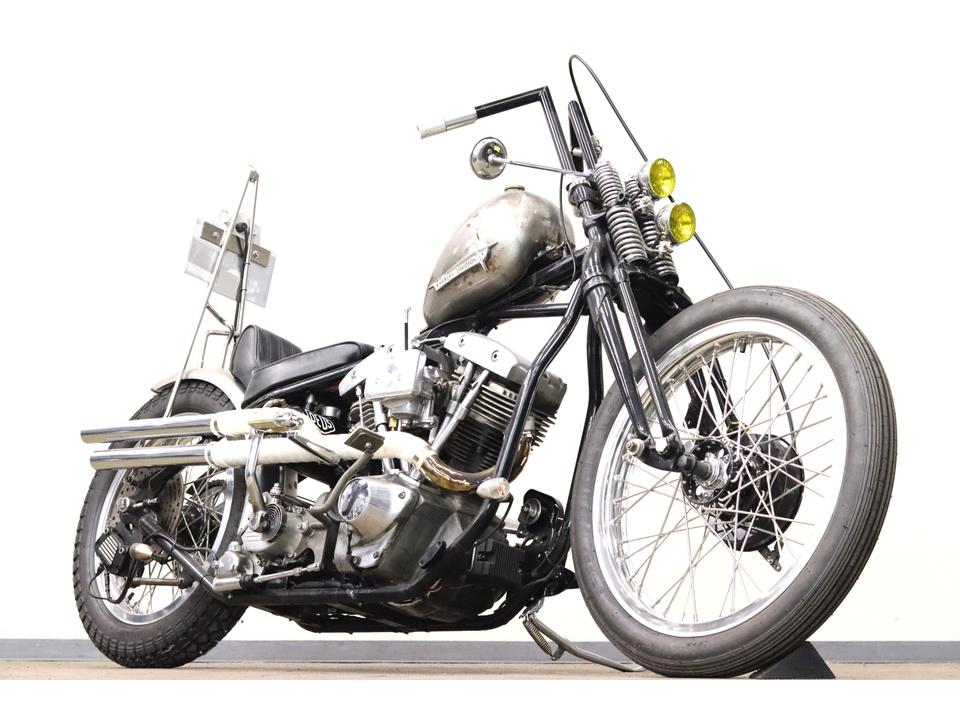 HARLEY-DAVIDSON FL