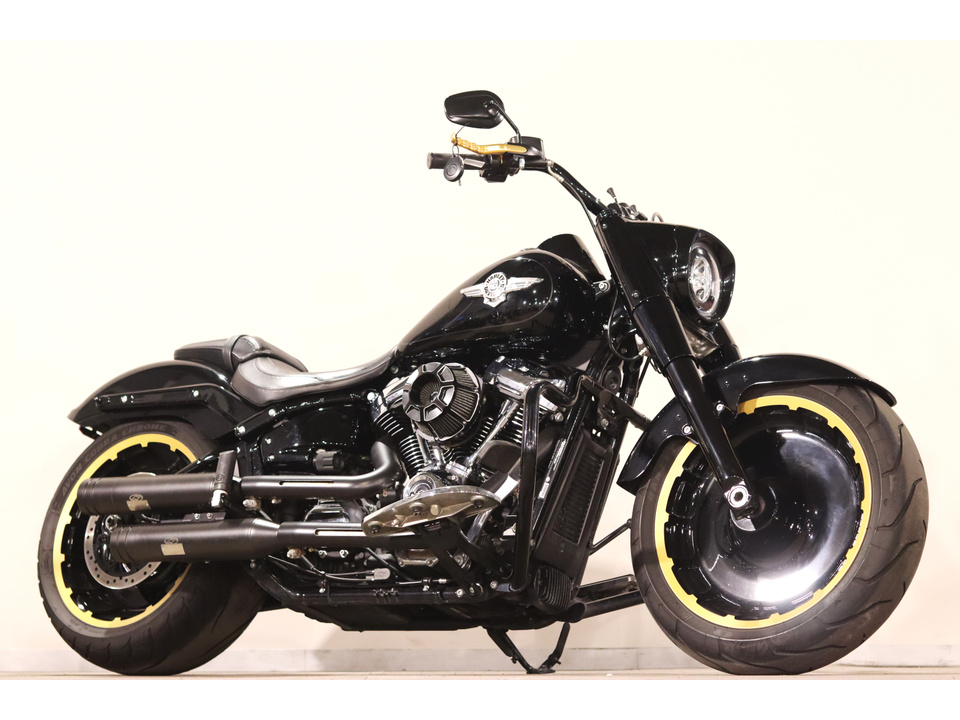 HARLEY-DAVIDSON FLFBS