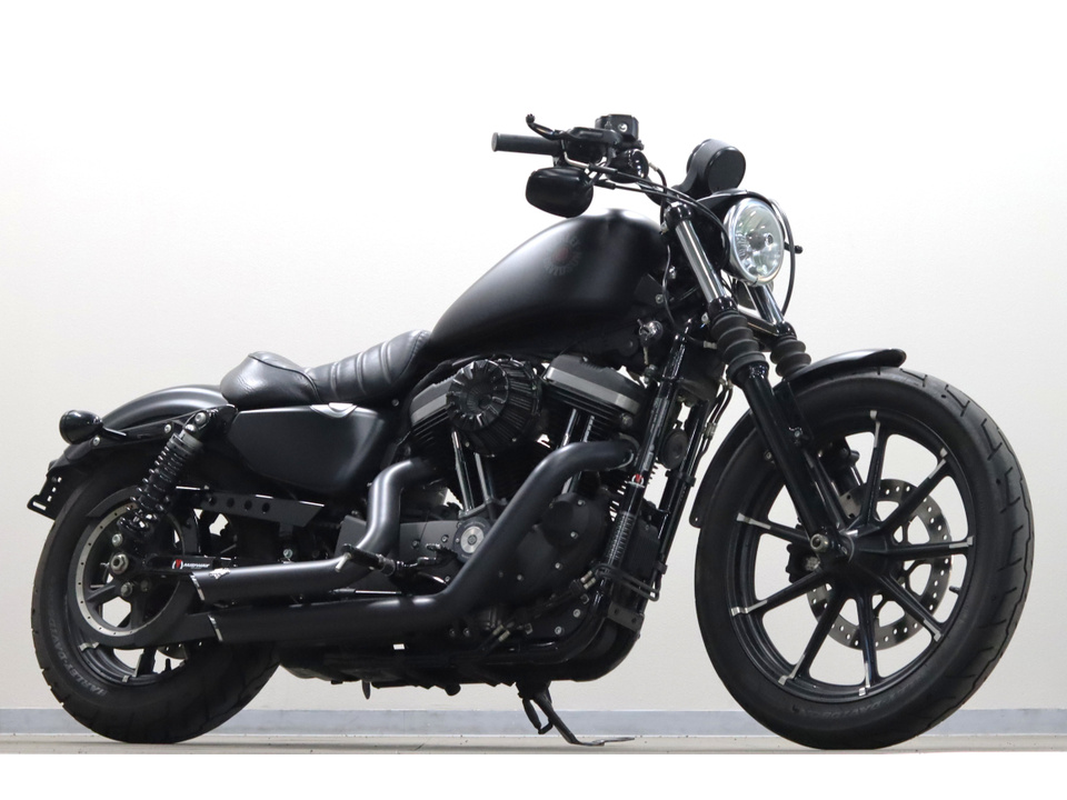 HARLEY-DAVIDSON XL883 N Iron