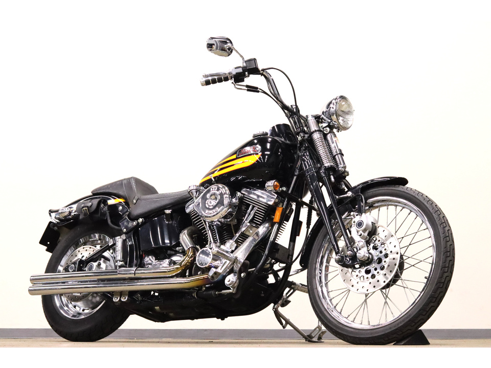 HARLEY-DAVIDSON FXSTSB Bad Boy