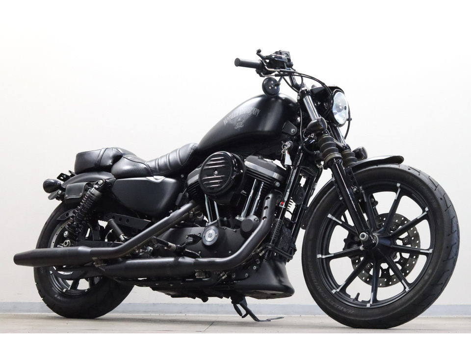 HARLEY-DAVIDSON XL883 N Iron