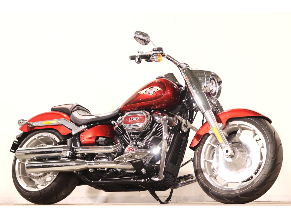 HARLEY-DAVIDSON FLFBS
