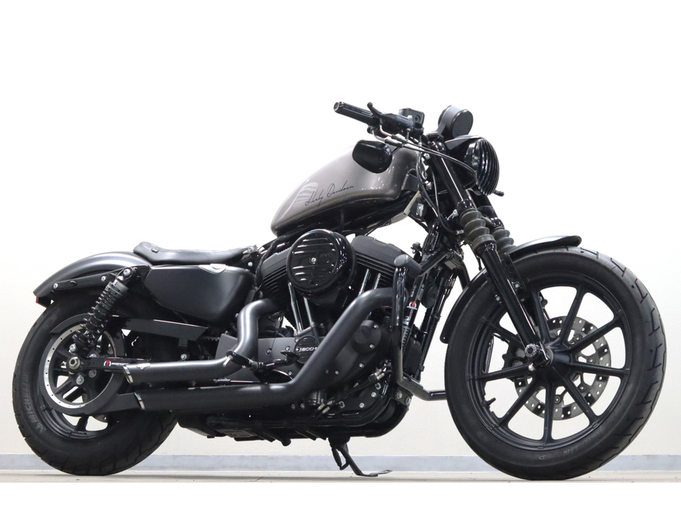HARLEY-DAVIDSON XL1200 NS