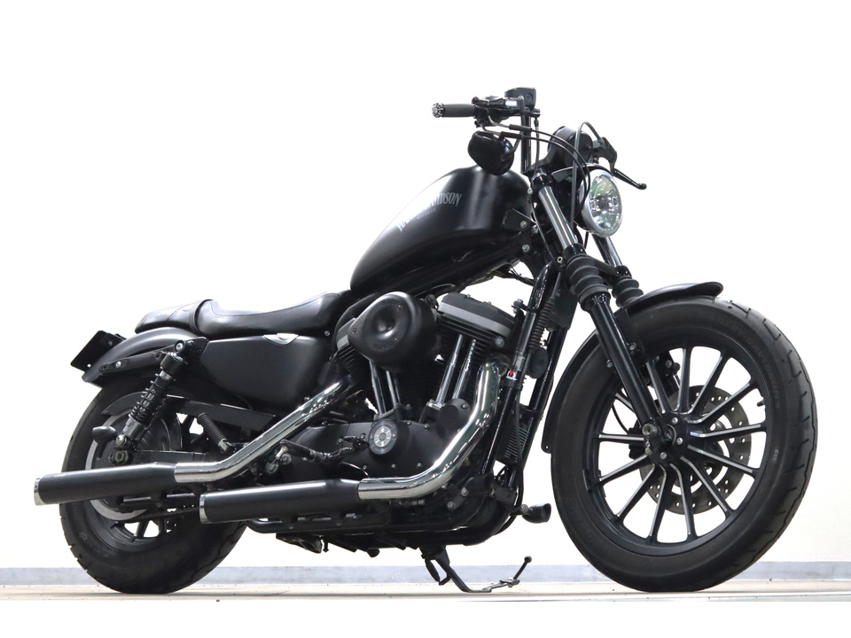 HARLEY-DAVIDSON XL883 N Iron