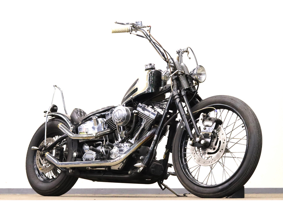 HARLEY-DAVIDSON FLSTF Fat Boy