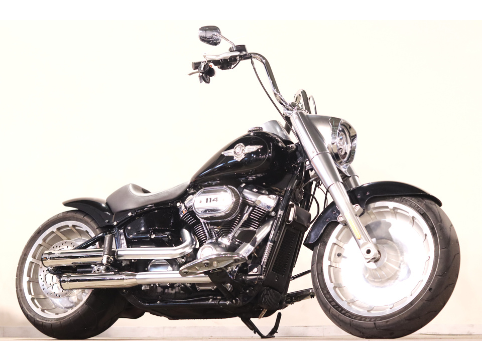 HARLEY-DAVIDSON FLFBS