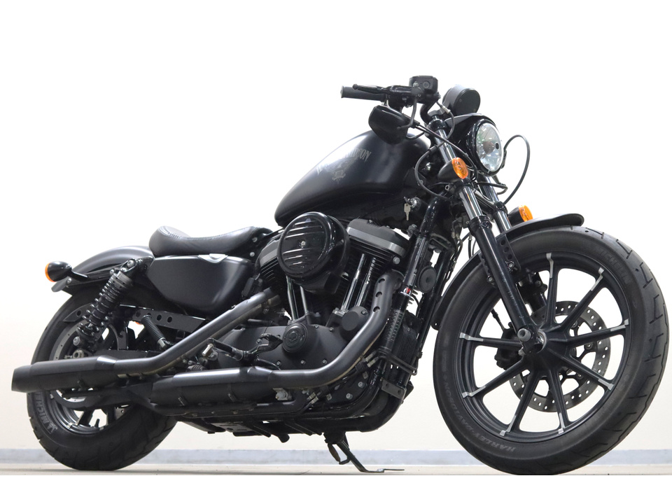 HARLEY-DAVIDSON XL883 N Iron