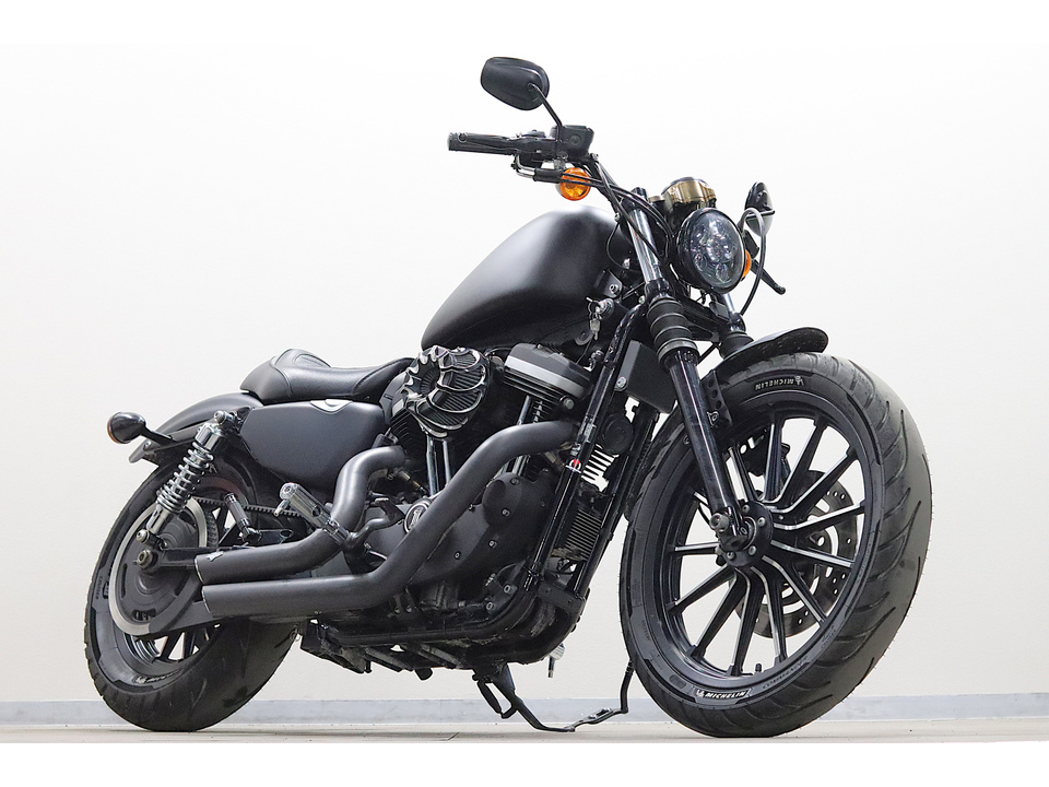 HARLEY-DAVIDSON XL883 N Iron