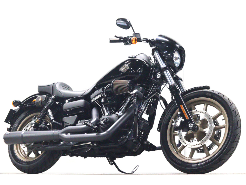 HARLEY-DAVIDSON FXDLS