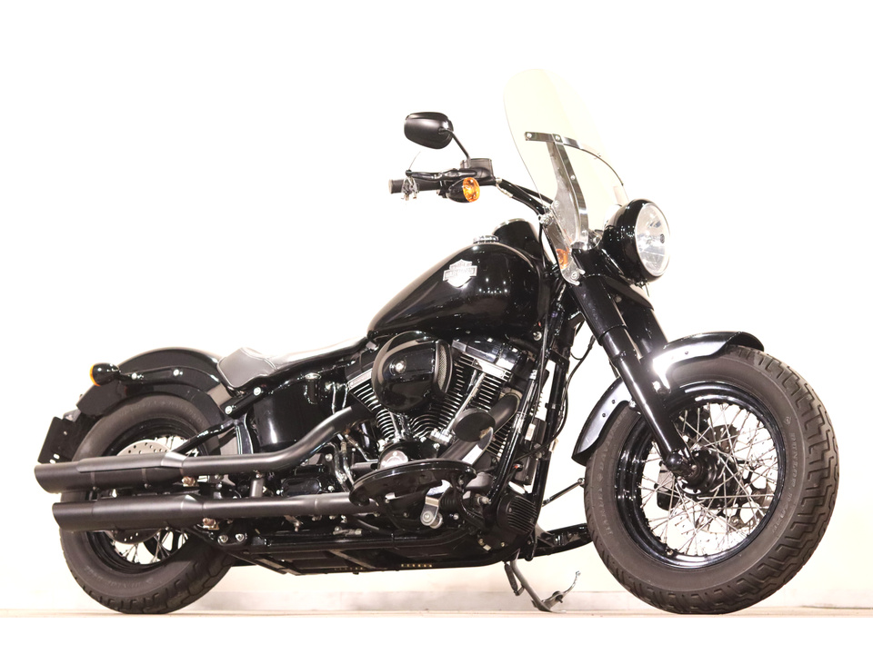 HARLEY-DAVIDSON FLSS