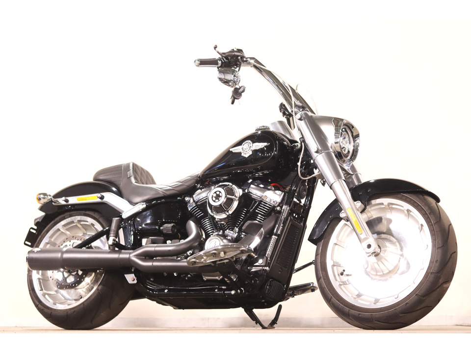 HARLEY-DAVIDSON FLFBS