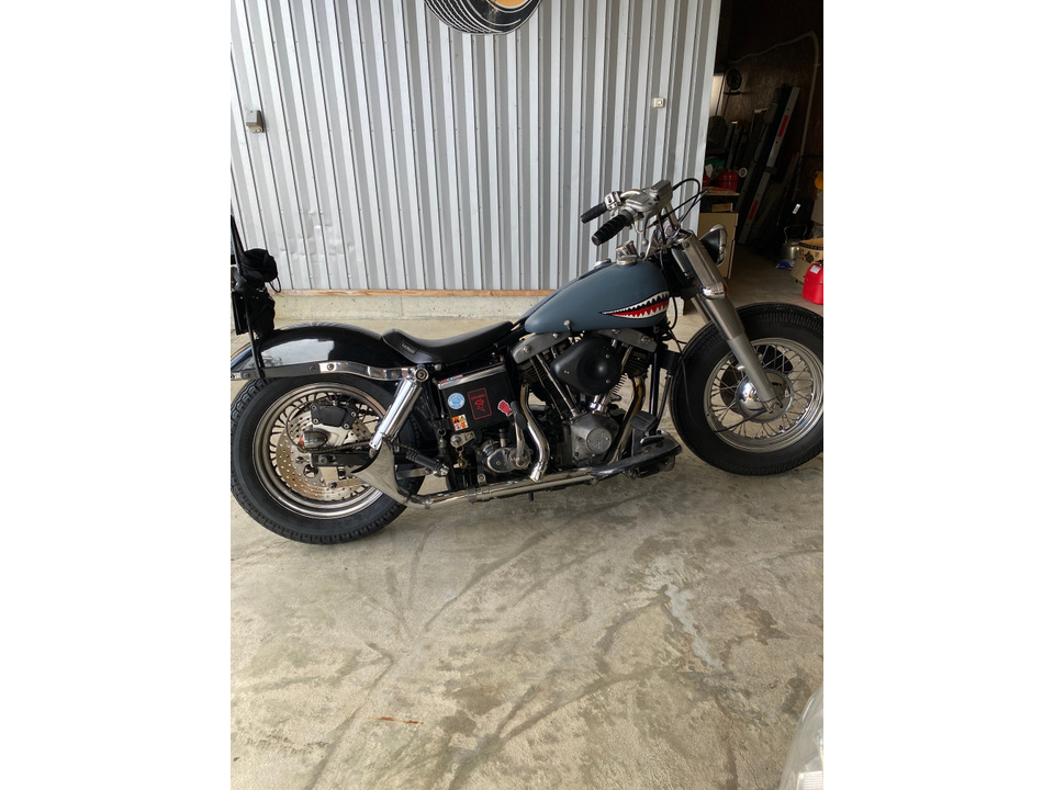 HARLEY-DAVIDSON FLHP