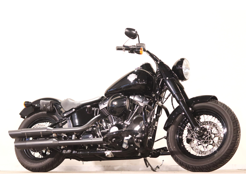 HARLEY-DAVIDSON FLSS