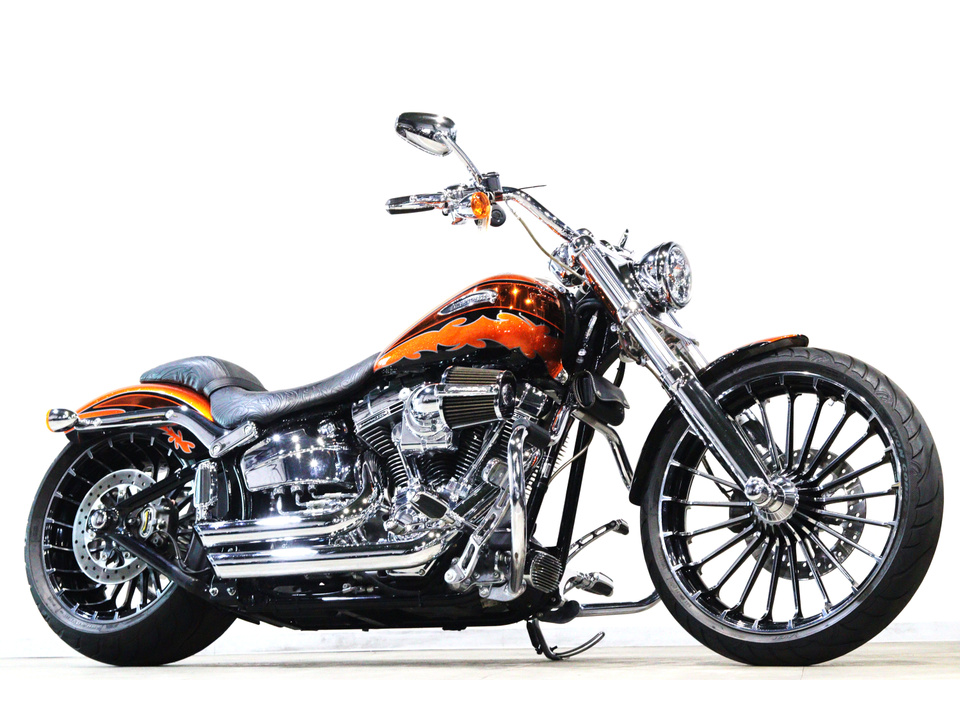HARLEY-DAVIDSON FXSBSE CVO