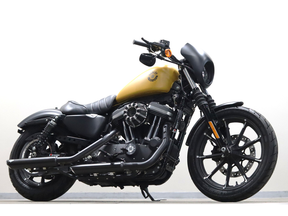 HARLEY-DAVIDSON XL883 N Iron