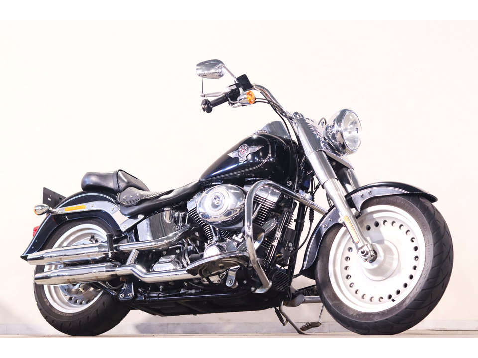 HARLEY-DAVIDSON FLSTF