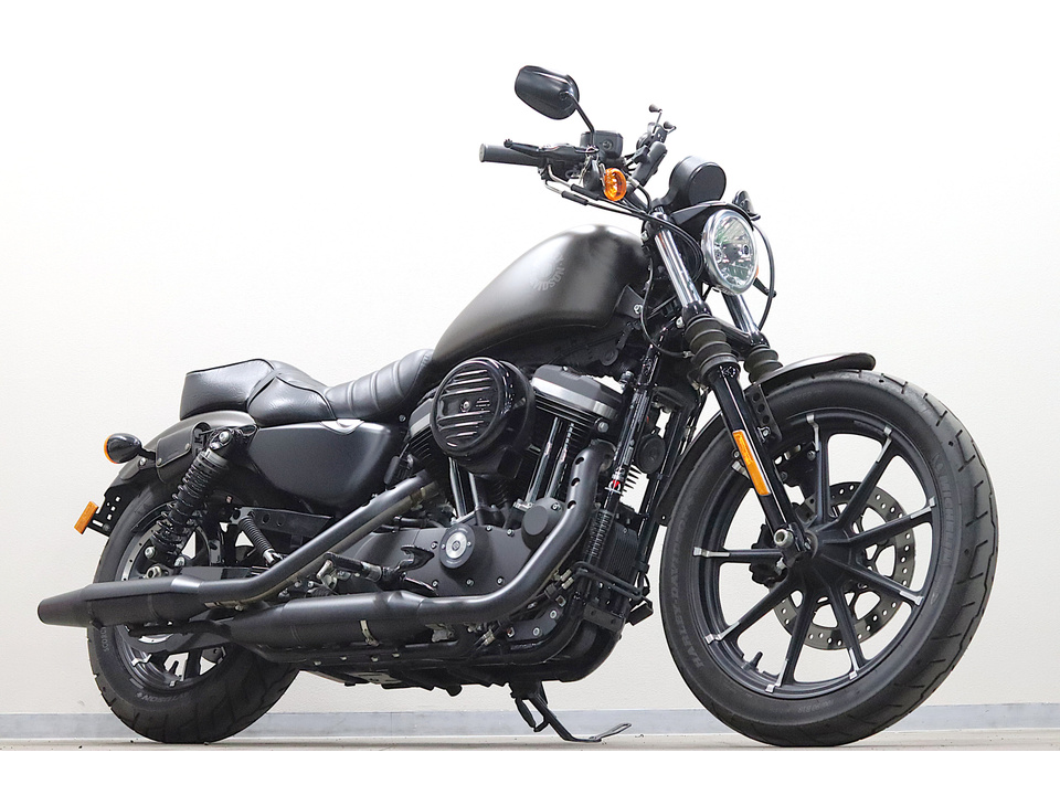 HARLEY-DAVIDSON XL883 N Iron
