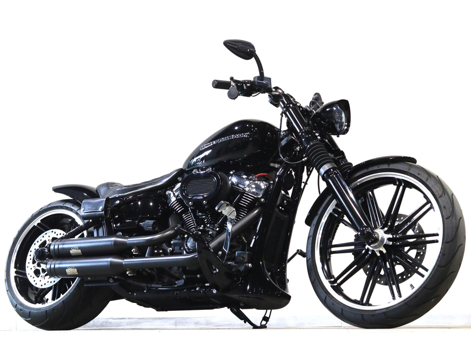 HARLEY-DAVIDSON FXBRS