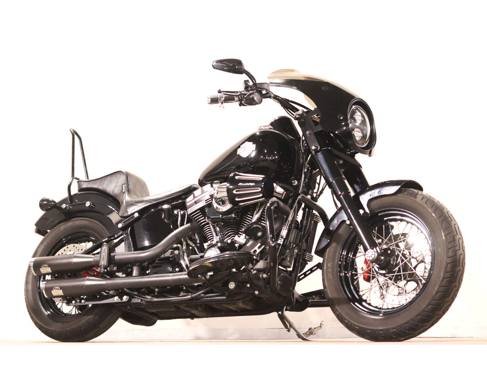 HARLEY-DAVIDSON FLSS