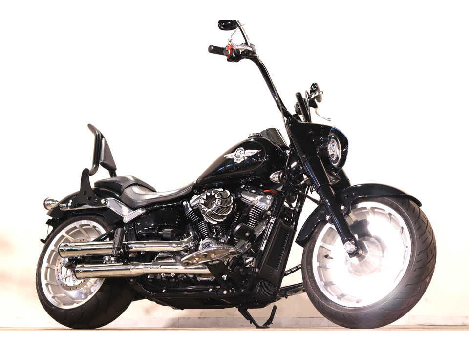 HARLEY-DAVIDSON FLFBS