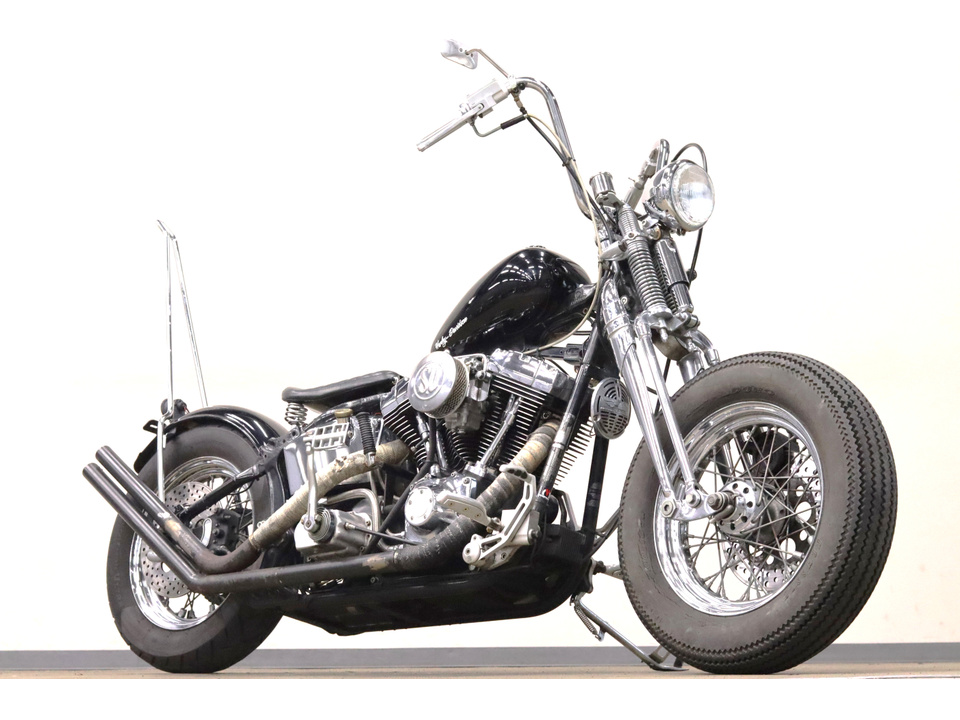 HARLEY-DAVIDSON FLSTS