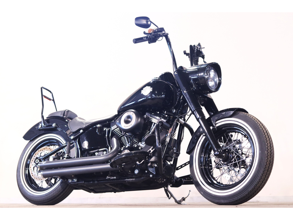 HARLEY-DAVIDSON FLSS