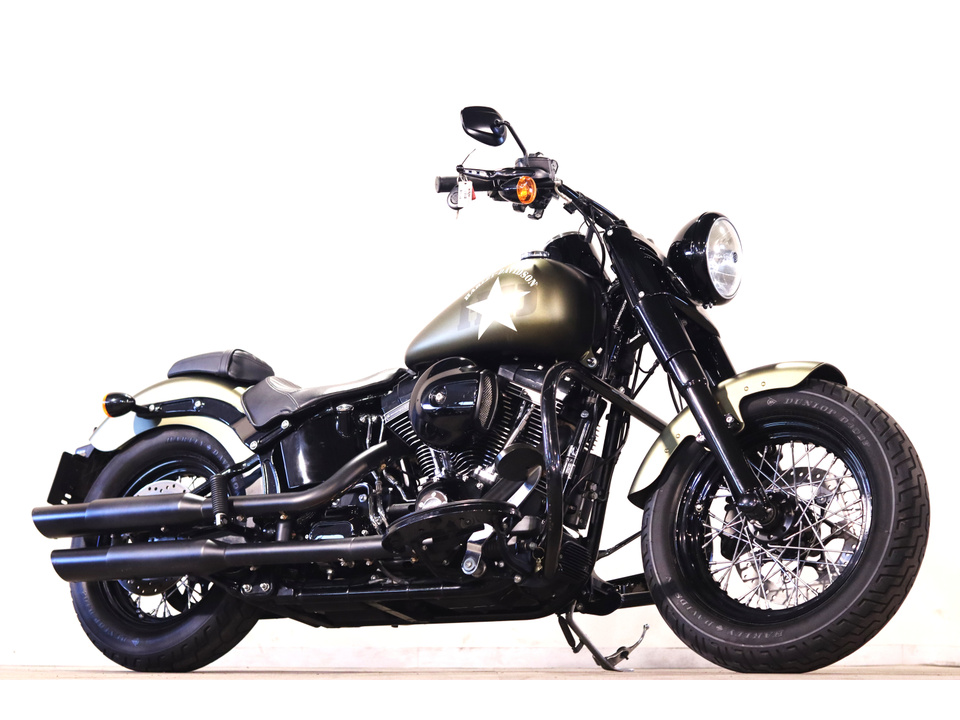 HARLEY-DAVIDSON FLSS