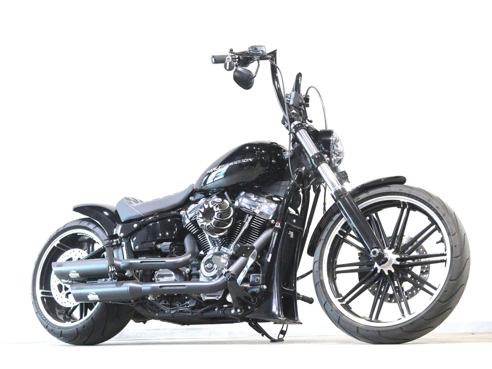 HARLEY-DAVIDSON FXBRS
