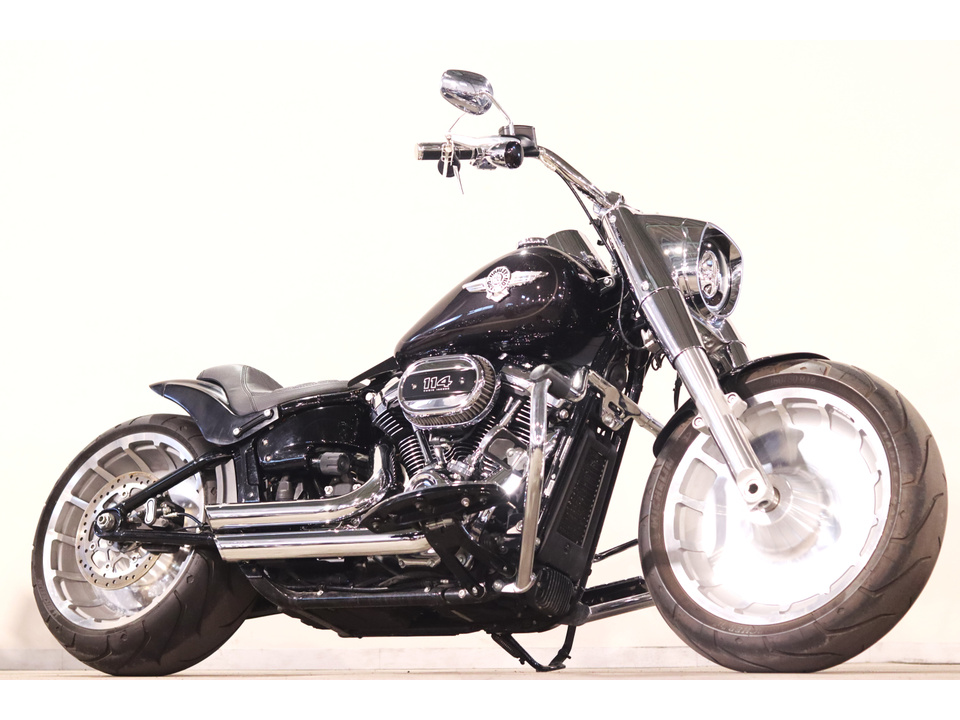 HARLEY-DAVIDSON FLFBS