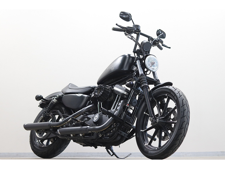HARLEY-DAVIDSON XL883 N Iron
