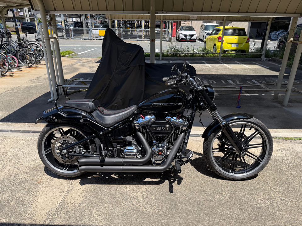 HARLEY-DAVIDSON FXBRS
