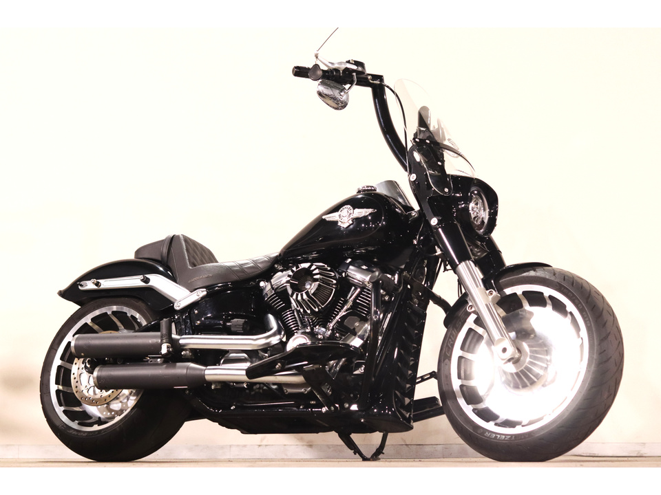 HARLEY-DAVIDSON FLFBS