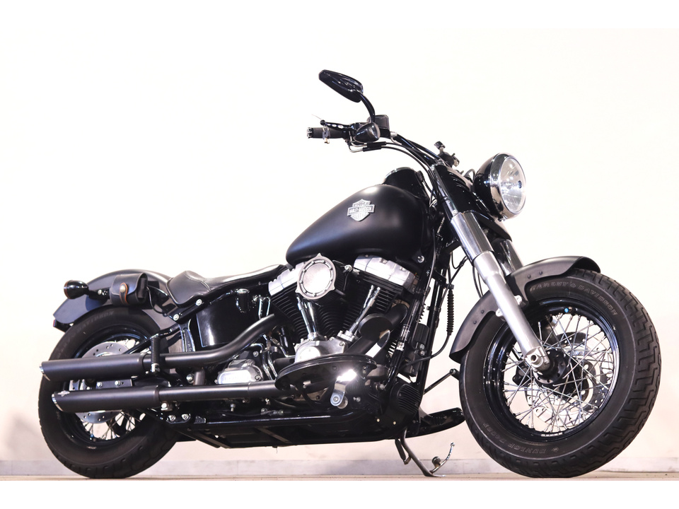 HARLEY-DAVIDSON FLS