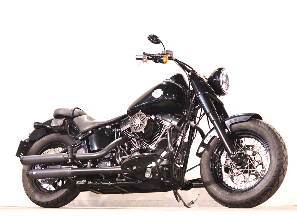 HARLEY-DAVIDSON FLSS