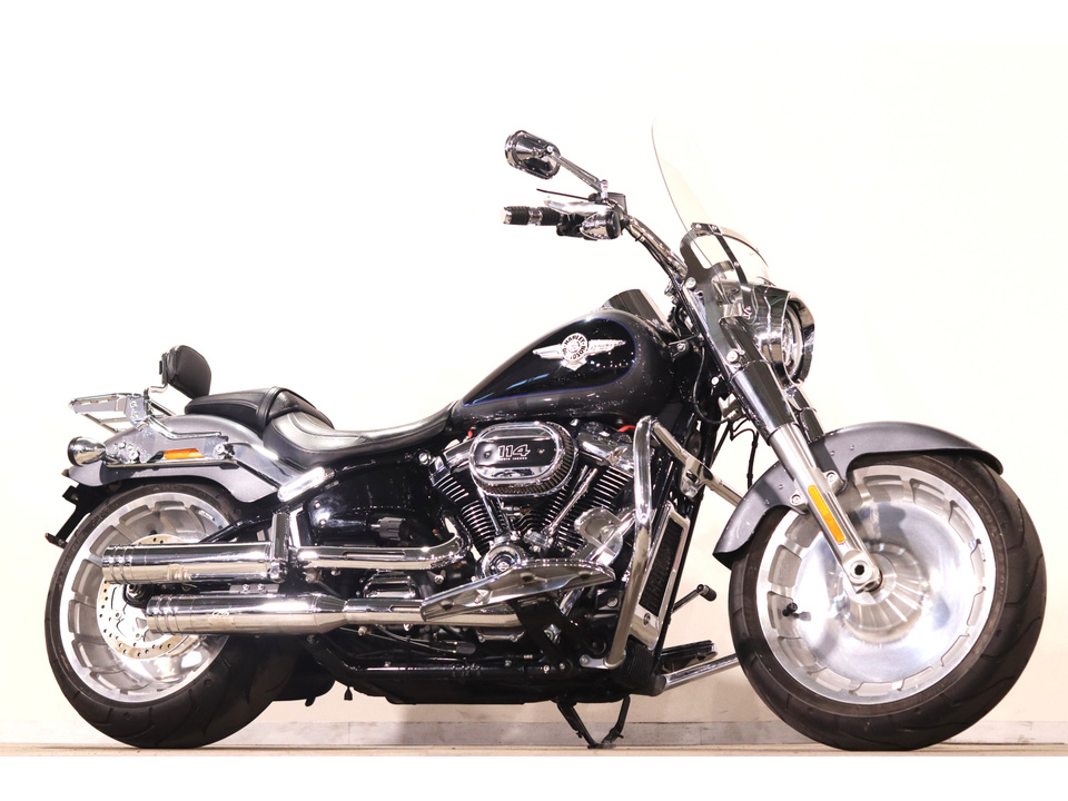 HARLEY-DAVIDSON FLFBS