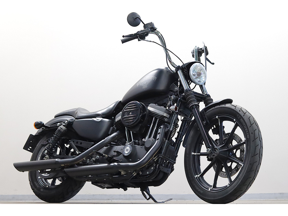 HARLEY-DAVIDSON XL883 N Iron