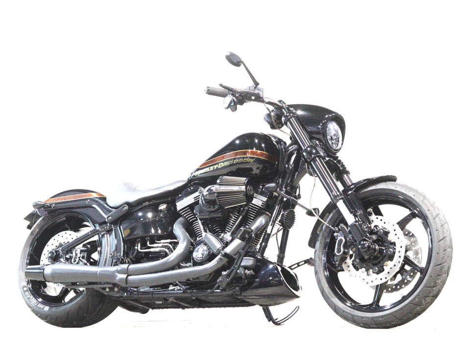 HARLEY-DAVIDSON FXSE CVO