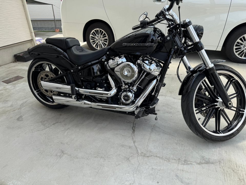 HARLEY-DAVIDSON FXBRS