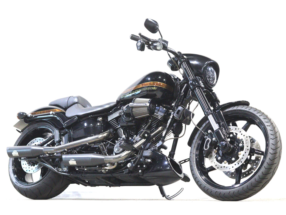 HARLEY-DAVIDSON FXSE CVO