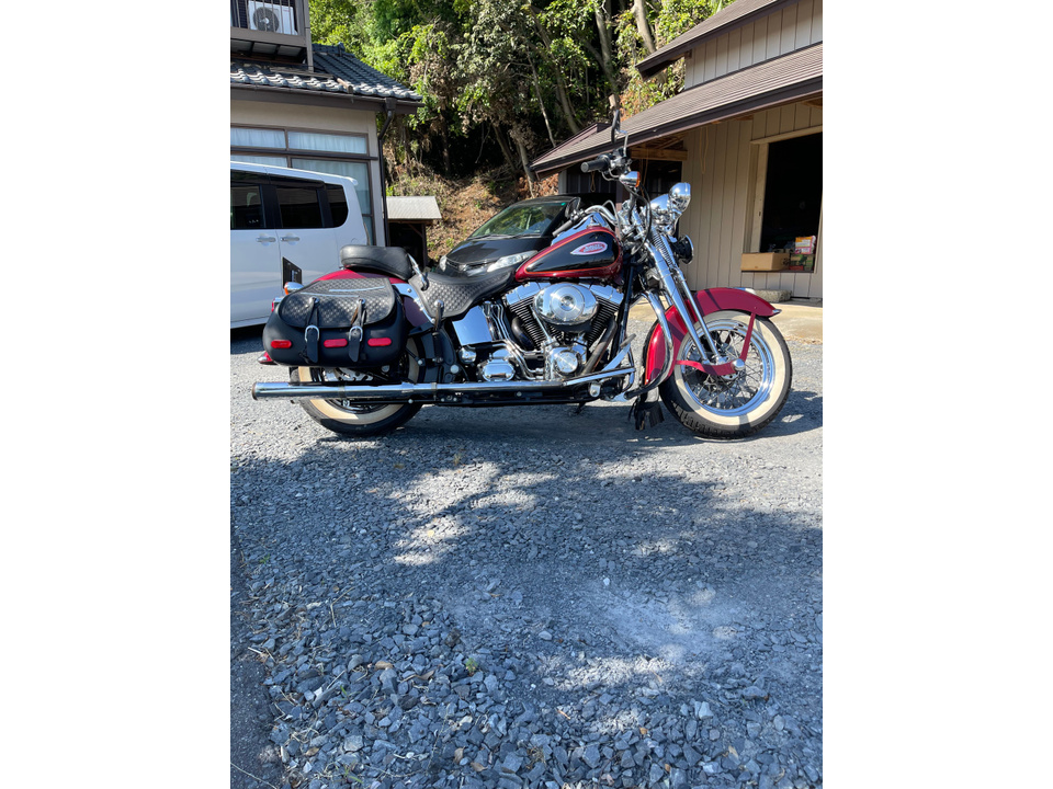 HARLEY-DAVIDSON FLSTS