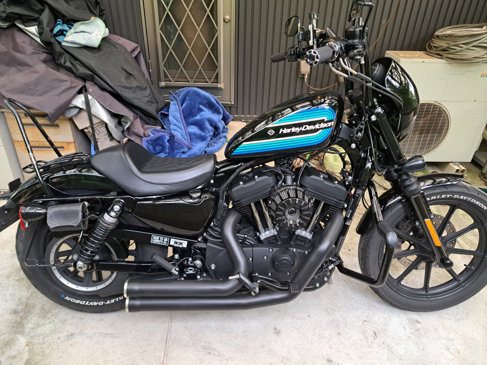 HARLEY-DAVIDSON XL1200 NS