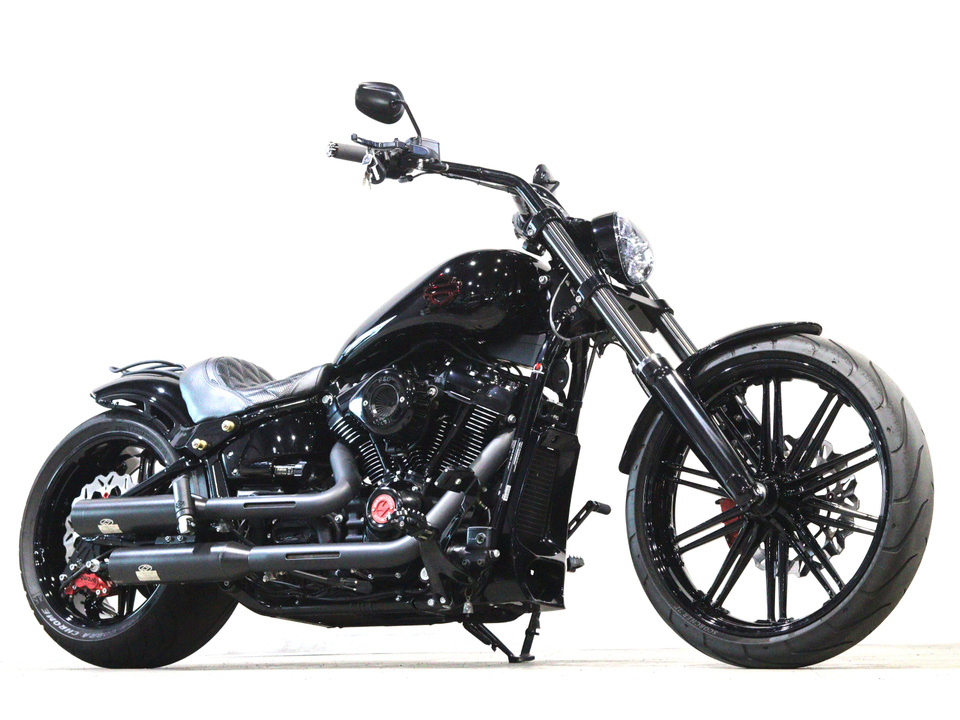 HARLEY-DAVIDSON FXBRS