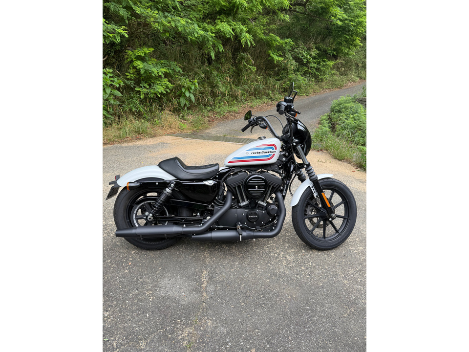 HARLEY-DAVIDSON XL1200 NS