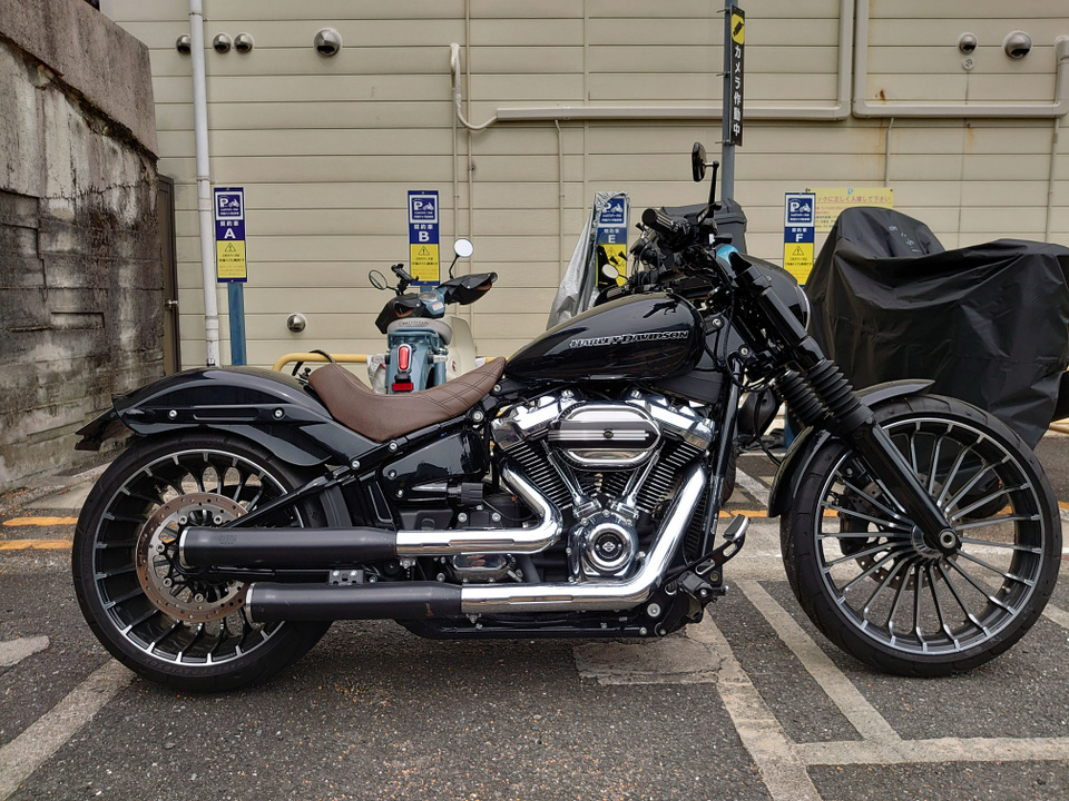 HARLEY-DAVIDSON FXBRS