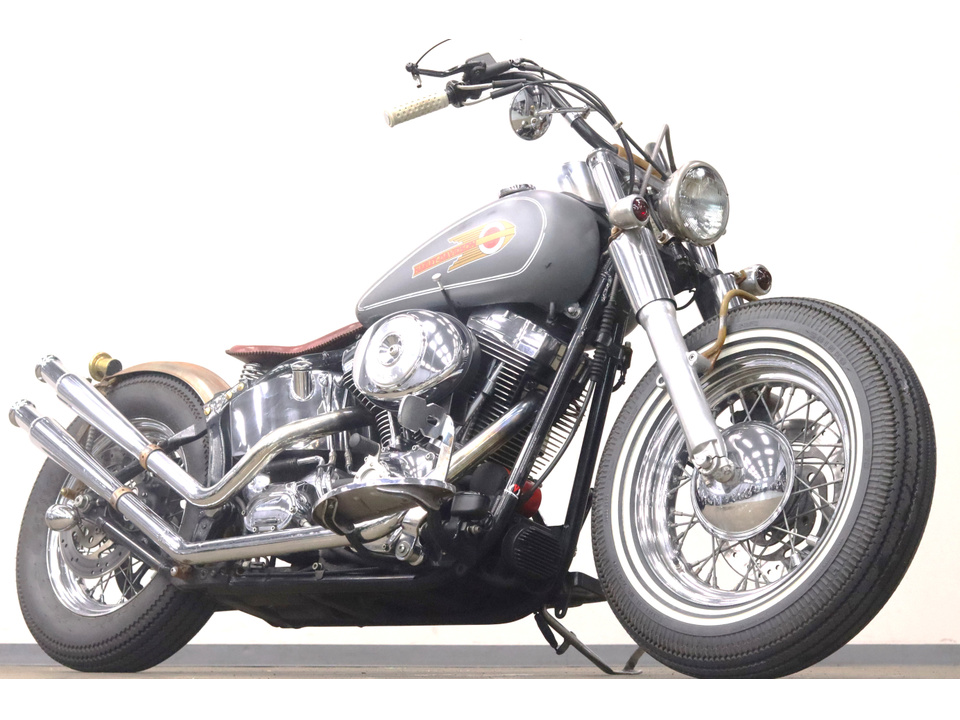 HARLEY-DAVIDSON FLSTC