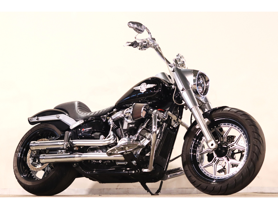 HARLEY-DAVIDSON FLFBS