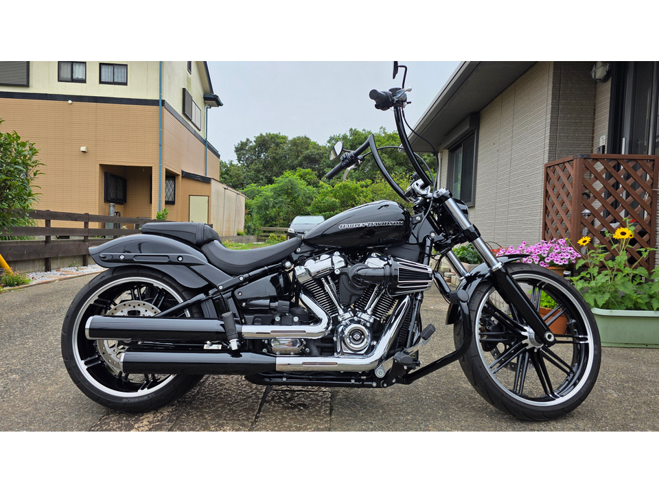 HARLEY-DAVIDSON FXBRS