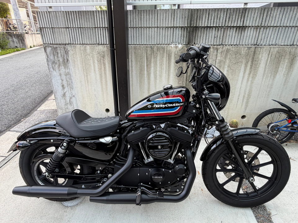 HARLEY-DAVIDSON XL1200 NS