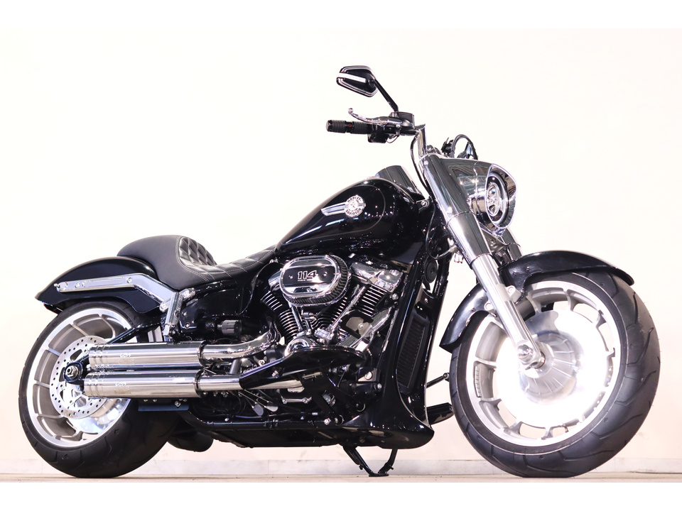 HARLEY-DAVIDSON FLFBS