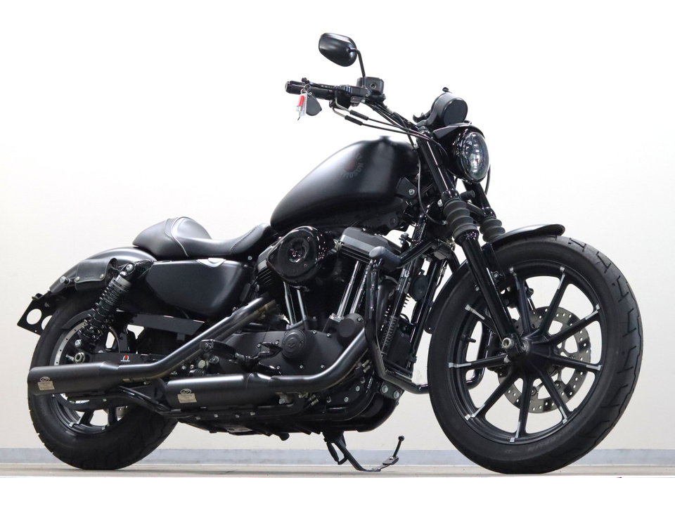 HARLEY-DAVIDSON XL883 N Iron